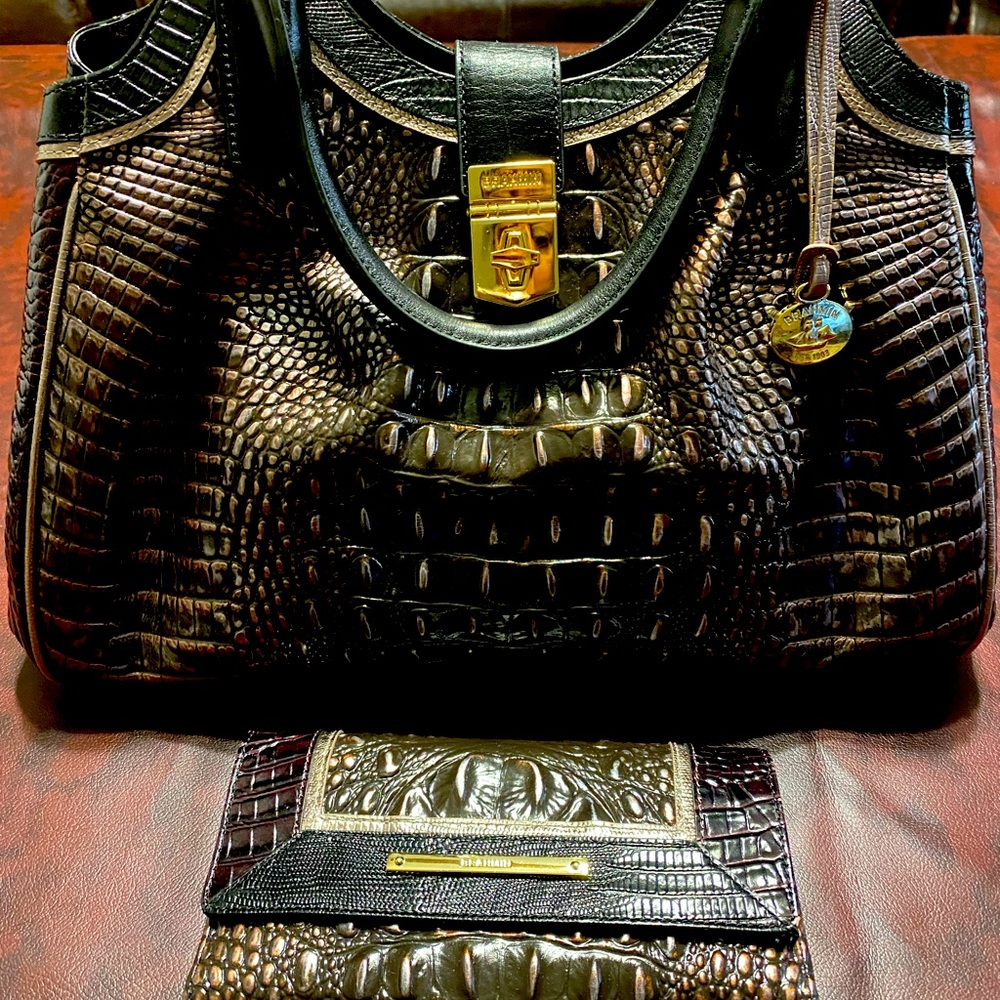 Brahmin Elisa bag with checkbook wallet
